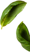 Decorative leaf