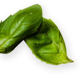 Decorative Leaf
